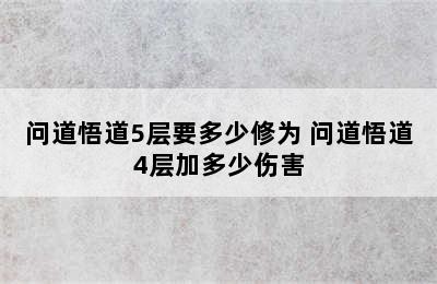 问道悟道5层要多少修为 问道悟道4层加多少伤害